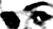 Pair of Eyes
